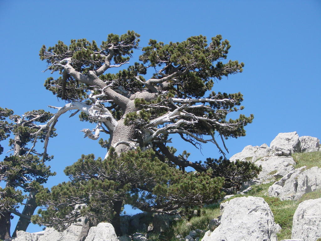 مبيت وإفطار Frascineto Montagne Rocciose المظهر الخارجي الصورة