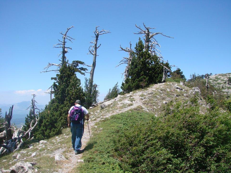 مبيت وإفطار Frascineto Montagne Rocciose المظهر الخارجي الصورة