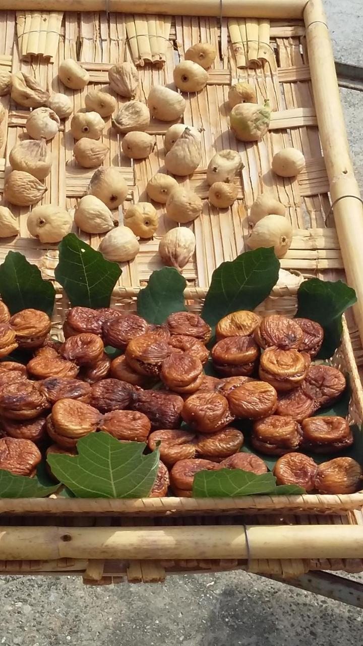 مبيت وإفطار Frascineto Montagne Rocciose المظهر الخارجي الصورة